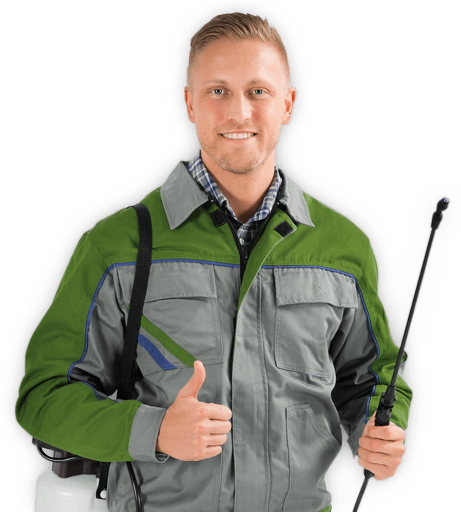 Best Pest Control Services NZ