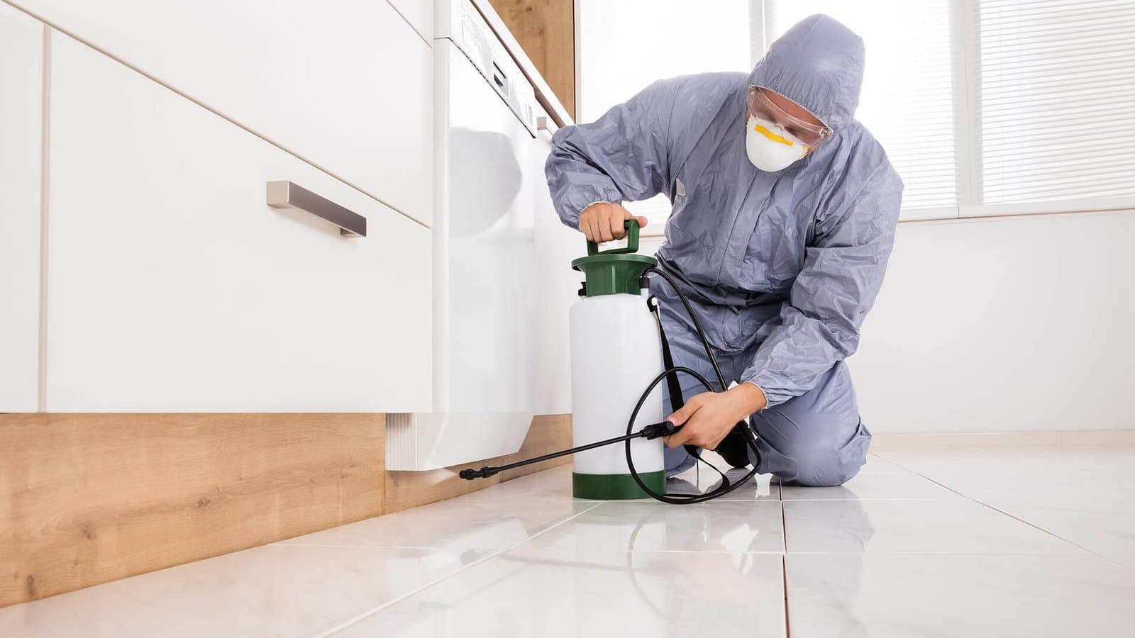 Pest control professional inspecting property