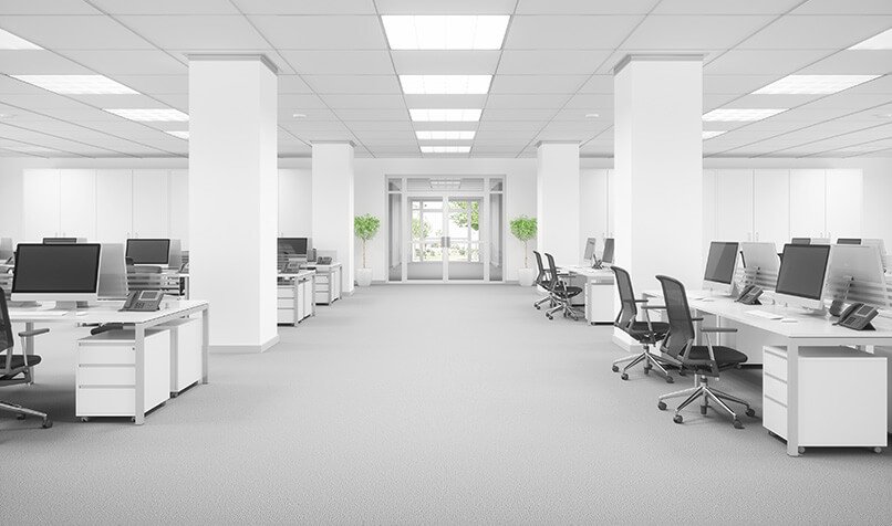 Commercial Pest Control Auckland NZ