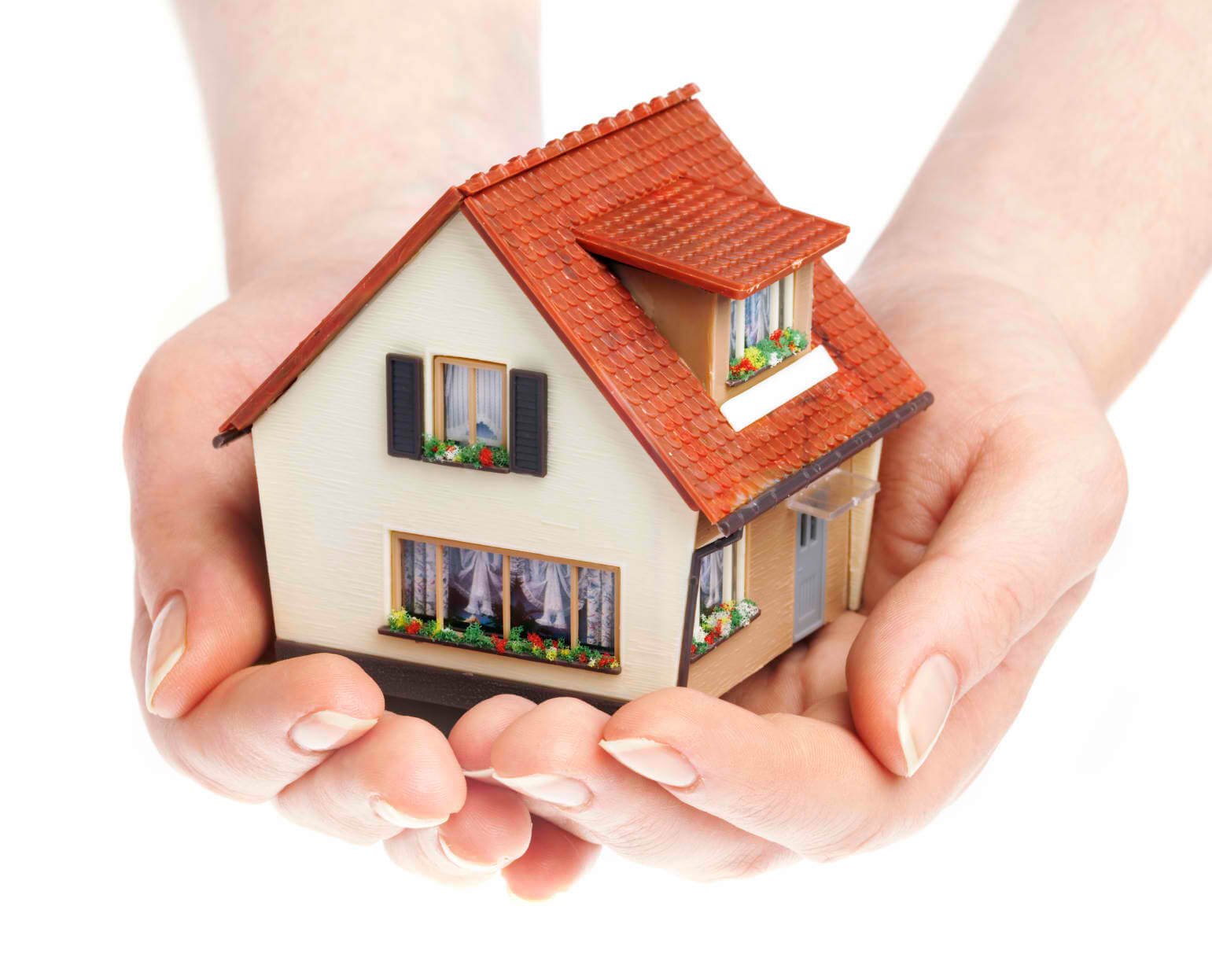Residential Pest Control Auckland